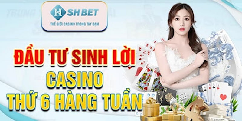 Khuyến mãi đầu tư sinh lời từ sảnh casino của Shbet